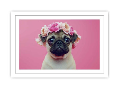 Pug Dog Framed Print