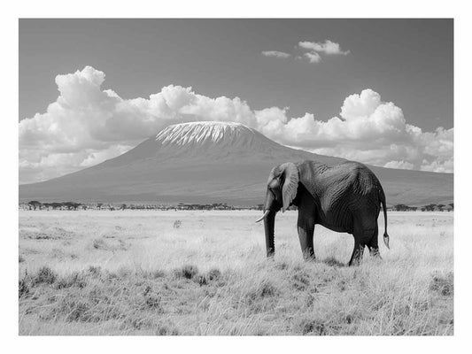Lonely Elephant Canvas Art Print