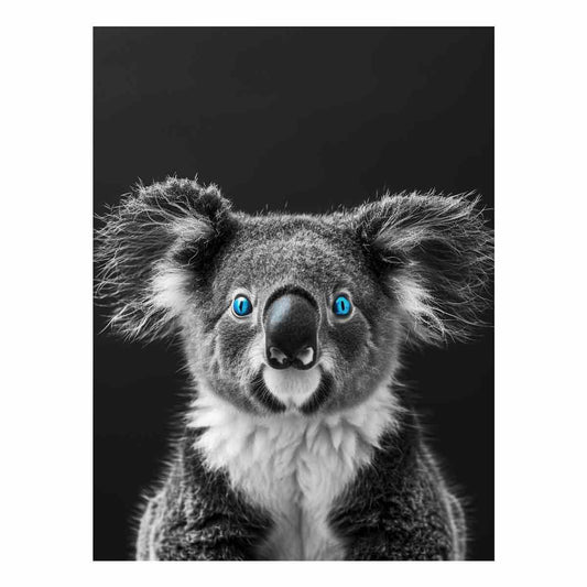 Koala Canvas painting Print