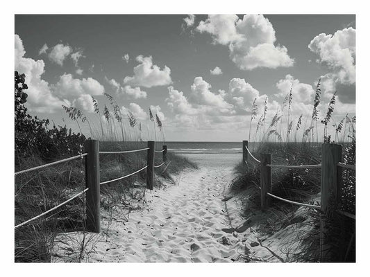 Beach Path Canvas Art Print balck & white Photography