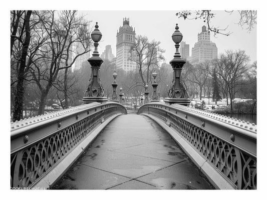 Bridge Central Park Canvas Art Print