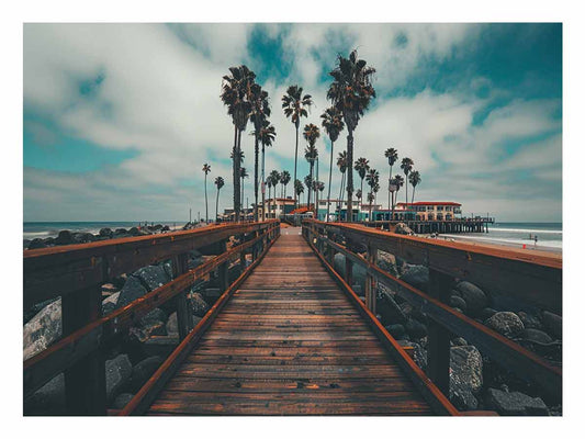 California Palm Trees Canvas Art Print