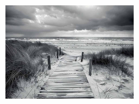 Beach Path pahotogrpahy art Canvas Art Print