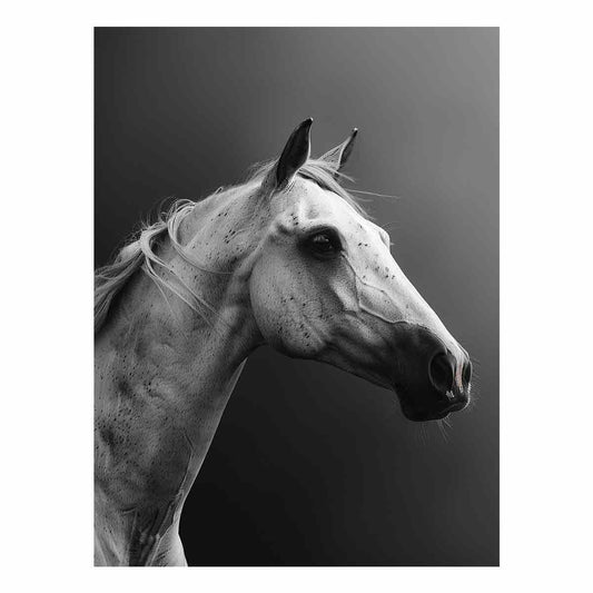 Horse Canvas Art Print Poster