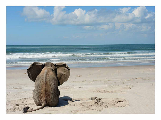 Realx Canvas Art Print