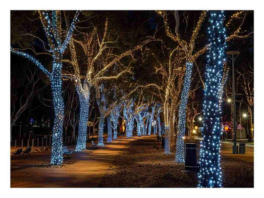 Lights Canvas Art Print