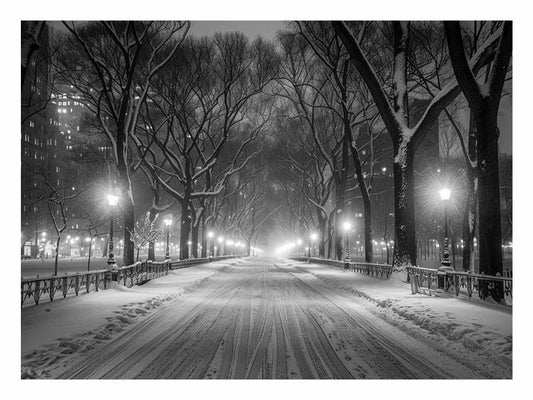 Central Park Canvas Art Print