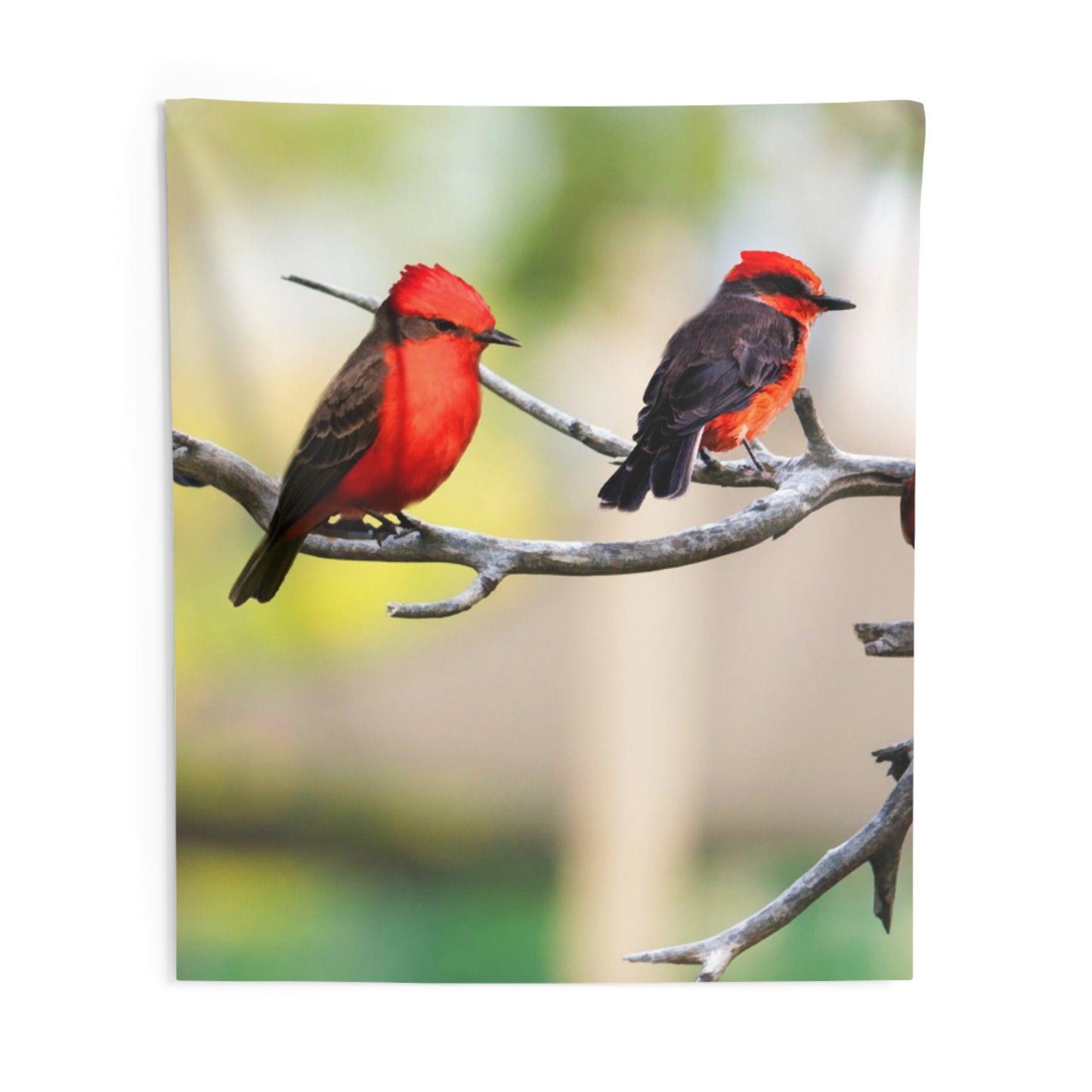 Colorful Birds Tapestry