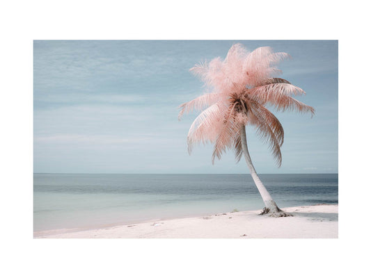 Silver Pink Beach Tree Canvas Art Print