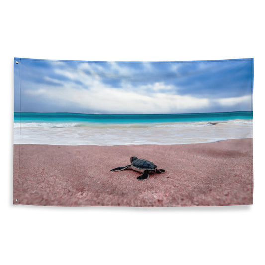 Turtle on Beach Painting Flag Tapestry