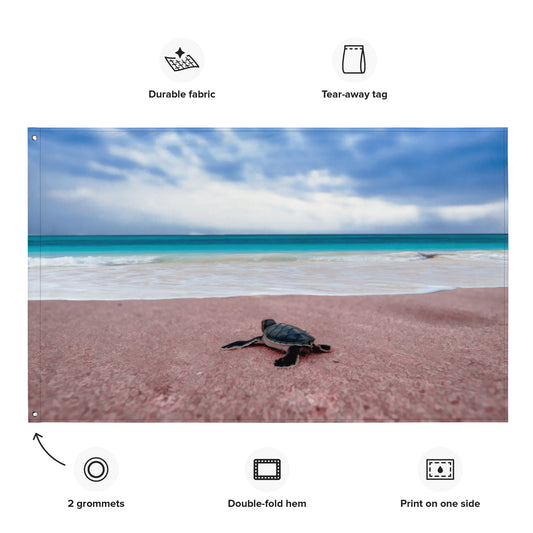 Turtle on Beach Painting Flag Tapestry