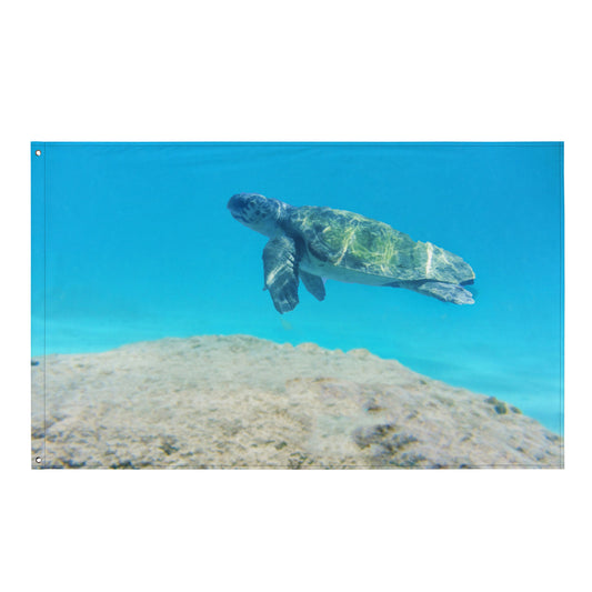 Turtle  Artwork Painting Flag Tapestry