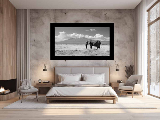Lonely Elephant  Canvas Art Print