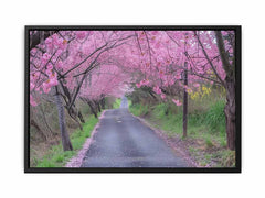 Cherry Blossom Path Canvas painitng  Print
