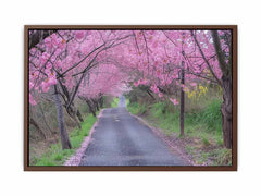 Cherry Blossom Path Canvas painitng  Print