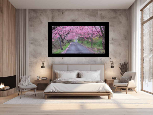 Cherry Blossom Path Canvas painitng  Print