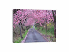 Cherry Blossom Path Canvas painitng  Print