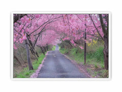 Cherry Blossom Path Canvas painitng  Print