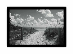 Beach Path Canvas Art Print balck & white Photography