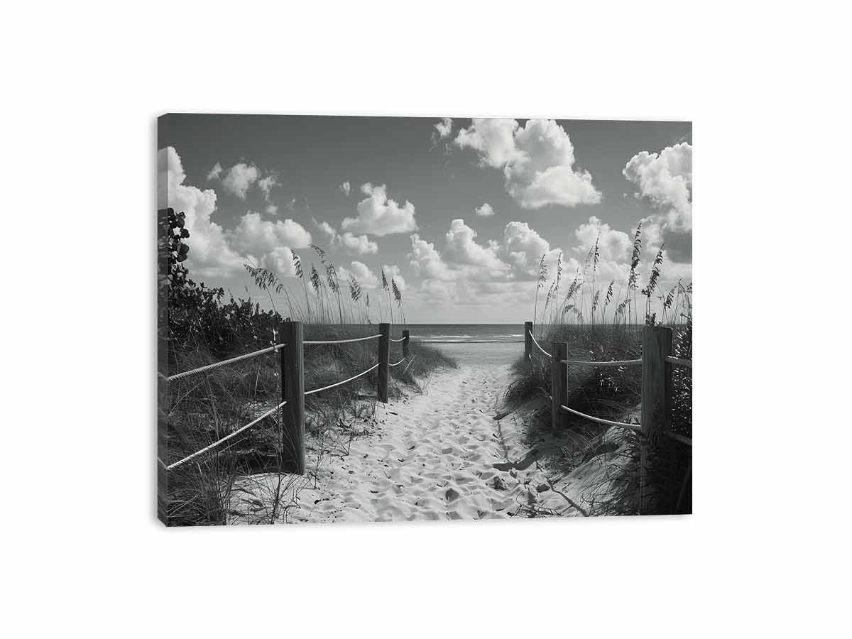 Beach Path Canvas Art Print balck & white Photography