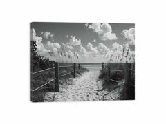 Beach Path Canvas Art Print balck & white Photography