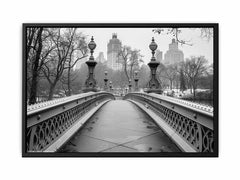 Bridge Central Park Canvas Art Print