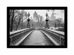 Bridge Central Park Canvas Art Print