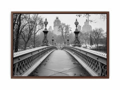 Bridge Central Park Canvas Art Print