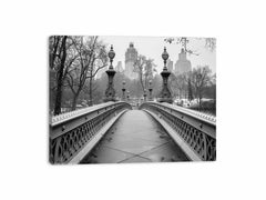 Bridge Central Park Canvas Art Print