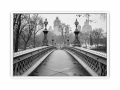 Bridge Central Park Canvas Art Print