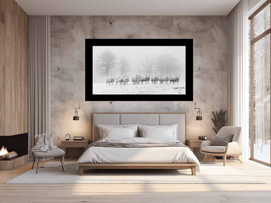 Sheep in the Field Black and white Canvas Art Print