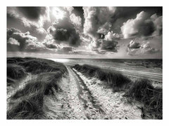 Beach Path  balck & white Canvas Art Print