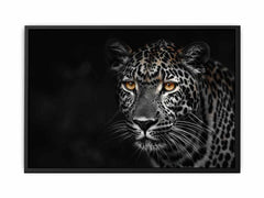 Leopard in Dark Canvas Art Print