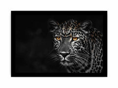 Leopard in Dark Canvas Art Print