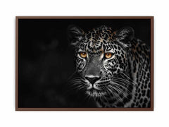Leopard in Dark Canvas Art Print