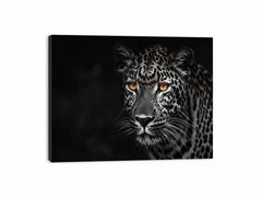 Leopard in Dark Canvas Art Print