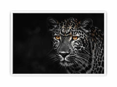 Leopard in Dark Canvas Art Print
