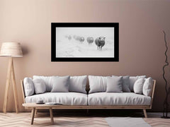 Sheeps in Field   Canvas Art Print
