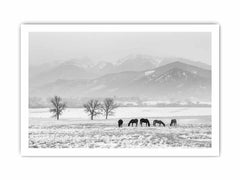 Open Filed Canvas Art Print