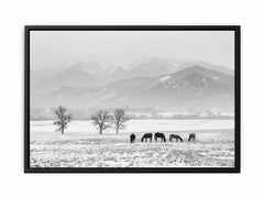 Open Filed Canvas Art Print