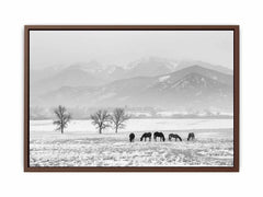 Open Filed Canvas Art Print