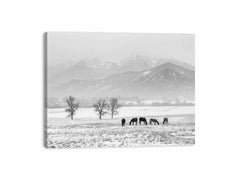 Open Filed Canvas Art Print
