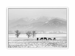 Open Filed Canvas Art Print