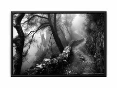 Forest Path Photograpahy art Canvas Art Print