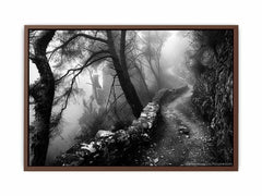 Forest Path Photograpahy art Canvas Art Print