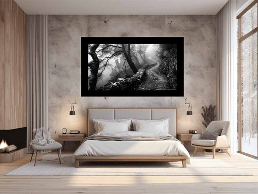 Forest Path Photograpahy art Canvas Art Print