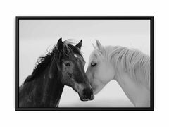 Horses CommuniCate  Canvas Art Print