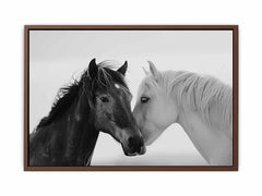 Horses CommuniCate  Canvas Art Print