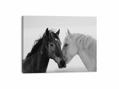 Horses CommuniCate  Canvas Art Print
