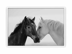 Horses CommuniCate  Canvas Art Print